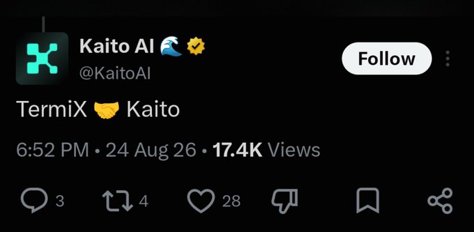 A screenshot of an X (Twitter) post from Kaito AI (@KaitoAI) reading 'TermiX Kaito' with engagement metrics showing 17.4K views, 3 comments, 4 retweets, and 28 likes, dated 6:52 PM on 24 Aug 26.