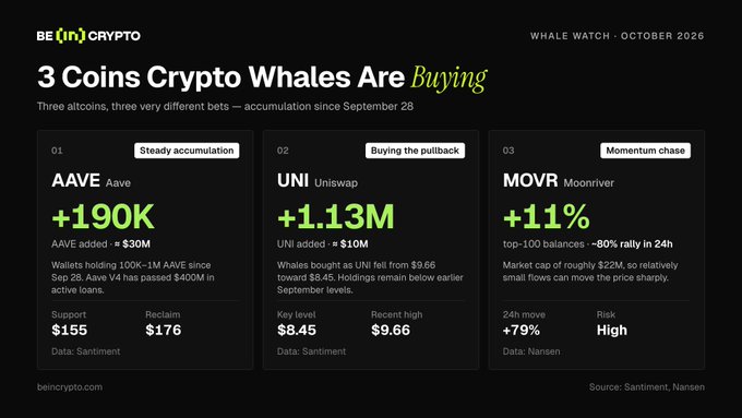 An infographic titled '3 Coins Crypto Whales Are Buying' from BE (IN) CRYPTO Whale Watch October 2026, highlighting AAVE (+190K), UNI (+1.13M), and MOVR (+11%).