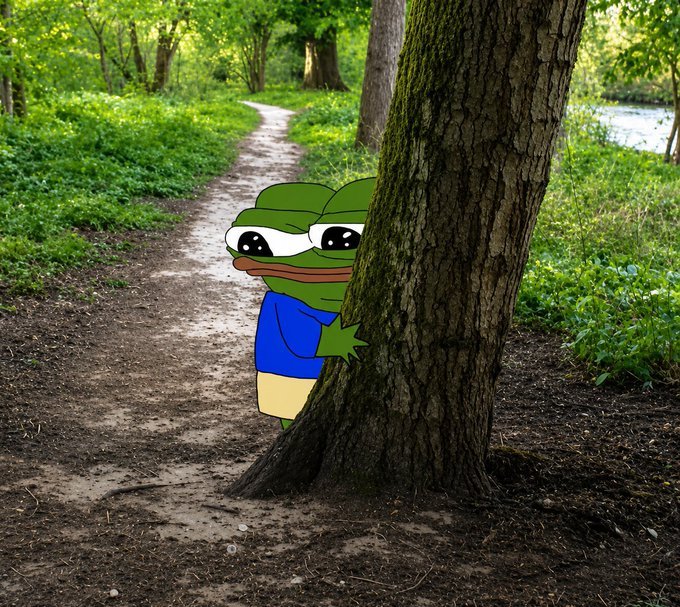 A cartoon Pepe the Frog character in a blue shirt peeking out from behind a large tree trunk on a dirt forest path.