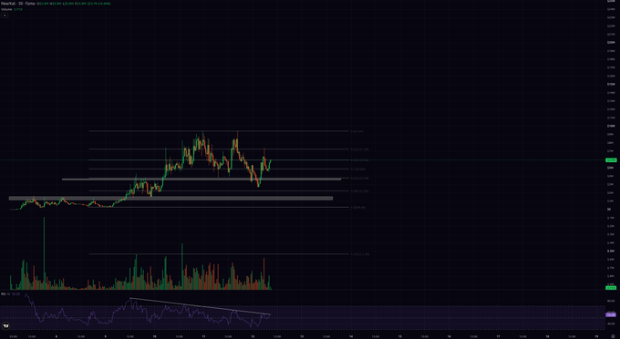 A cryptocurrency candlestick chart on a dark background, showing price action for 'Hippie/SUD Tether' with various technical analysis levels marked, along with volume and RSI indicators at the bottom.