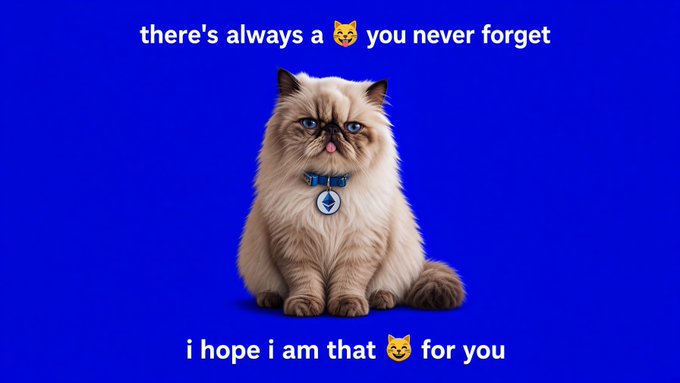 A fluffy Himalayan cat with a blue collar sits against a vivid blue background, with the text "there's always a 🐱 you never forget" above and "i hope i am that 🐱 for you" below. The image appears to be a heartwarming meme-style message sending the cat as a token of affection, addressed from "miggles" to "@base."