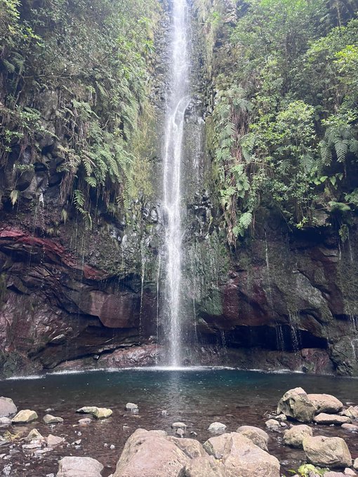 A tall waterfall cascading down a lush, fern-covered cliff face into a natural pool surrounded by rocks.