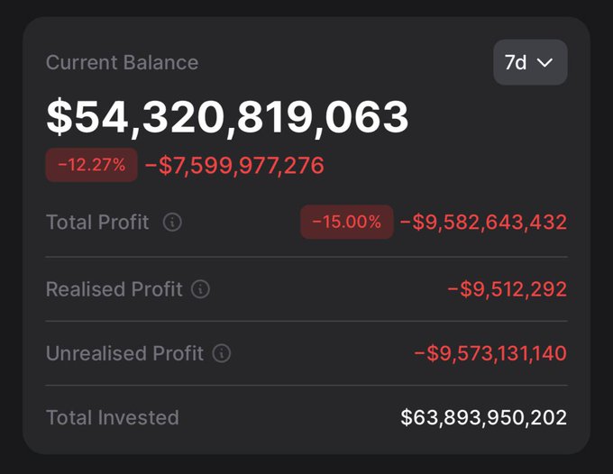 The image displays a smartphone screen with a financial information dashboard, providing details of realised profit and projected profits. The current balance shown is $54,300,813.93, which indicates that $54,300 has been invested, and the return on this investment is -19.89%. It appears to be a strategy for investing in Bitcoin or another cryptocurrency.