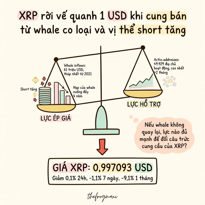 An infographic in Vietnamese analyzes the XRP cryptocurrency price, showing a balance scale weighing 'LỰC ÉP GIÁ' (selling pressure) against 'LỰC HỖ TRỢ' (support), with the current price listed as 0.987093 USD.