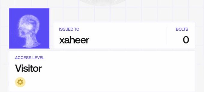 A digital badge or profile card is issued to 'xaheer' with '0 BOLTS' and an access level of 'Visitor', featuring a stylized skull in a blue square.