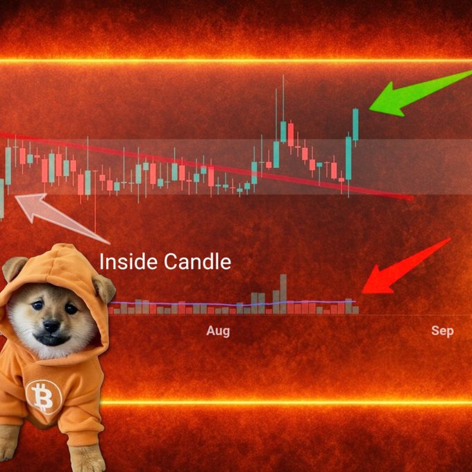 A meme-style image featuring a Shiba Inu dog in an orange Bitcoin hoodie beside a candlestick chart labeled 'Inside Candle' with annotations pointing to price action between 'Aug' and 'Sep' on a fiery red background.
