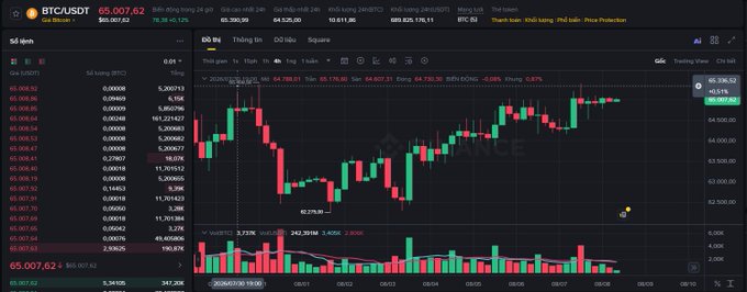 A BTC/USDT trading chart on an exchange shows Bitcoin at $65,007.62 with a candlestick chart, order book on the left, and volume indicators at the bottom.