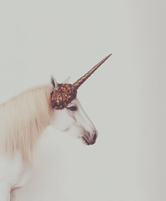 A white unicorn with a flowing mane posed against a plain white background, with its horn and forehead covered in decorative brown and bronze foliage and glittery accents.