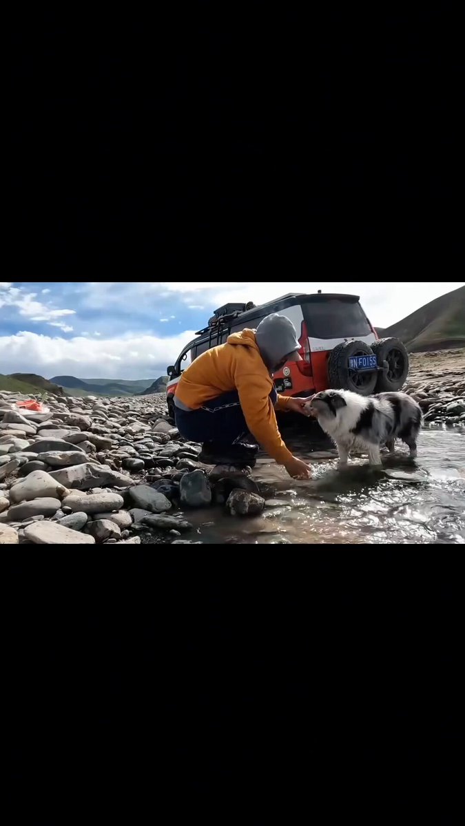 The image shows a man kneeling down next to his dog near some rocks by a car. The scene appears to be set at an outdoor location with a car nearby. There are also several other people present, but they do not seem to be directly involved in the interaction between the man and his dog. The main focus of the image is on the man kneeling down next to his dog, which suggests that he might be taking care of or bonding with his pet.