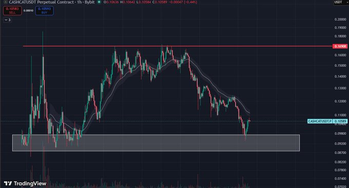 A TradingView candlestick chart for CASHCAT/USDT Perpetual Contract on Bybit, showing a 1-hour timeframe with price action, moving averages, and a highlighted support zone.
