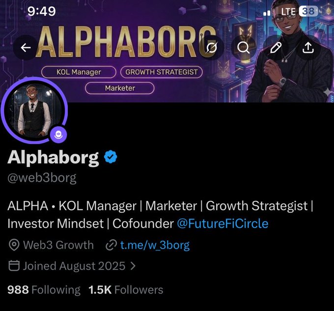 A Twitter/X profile screenshot for 'Alphaborg' (@web3borg) identifies the user as a KOL Manager, Marketer, and Growth Strategist, listing tags 'ALPHA', 'Investor Mindset', and 'Cofounder @FutureFiCircle' with 988 Following and 1.5K Followers.