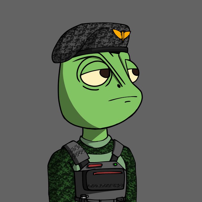 A cartoon illustration of a green reptilian character wearing a camouflage beret with a yellow emblem and a camouflage tactical vest, with a tired expression.