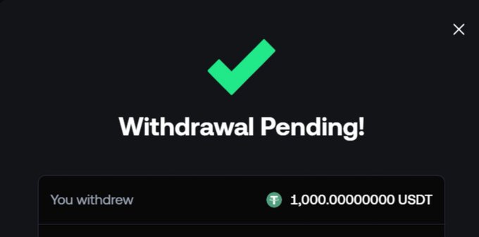 A dark-themed confirmation screen displays a green checkmark with the text "Withdrawal Pending!" and "You withdrew 1,000.00000000 USDT".