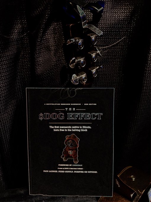 A dark promotional graphic titled "THE $DOG EFFECT" with text "The first memecoin native to Bitcoin, born free in the halving block", showing jewelry and a small dog figure.