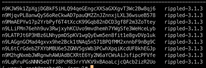 The image shows a long list of numbers or text, possibly representing data from a network or server. The caption above the image reads "All our XRPL nodes were updated well in time! Monitoring infrastructure and taking timely action is an important part of network participation." This suggests that the image might be related to a discussion about network updates or monitoring efforts.