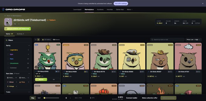 The image shows a computer screen displaying a website called "Dirt.Birds.ETH A", which has several owl images arranged in rows, with each row containing different types of owls. The text on the screen reads "Teleburning them from Ethereum to Bitcoin". This suggests that someone is using a teleburning tool to burn the owl images onto Bitcoin addresses or other digital assets.
