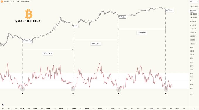 The image displays a weekly Bitcoin/USD chart from TradingView (@washaccount on X), showing historical price action from 2014 to 2026 with an oscillator/indicator below highlighting previous cycle bottoms marked by black triangles. The caption notes intervals between these lows—203 bars, 186 bars, and 189 bars—suggesting a recurring cyclical pattern in Bitcoin's market cycles that the poster implies may be repeating.