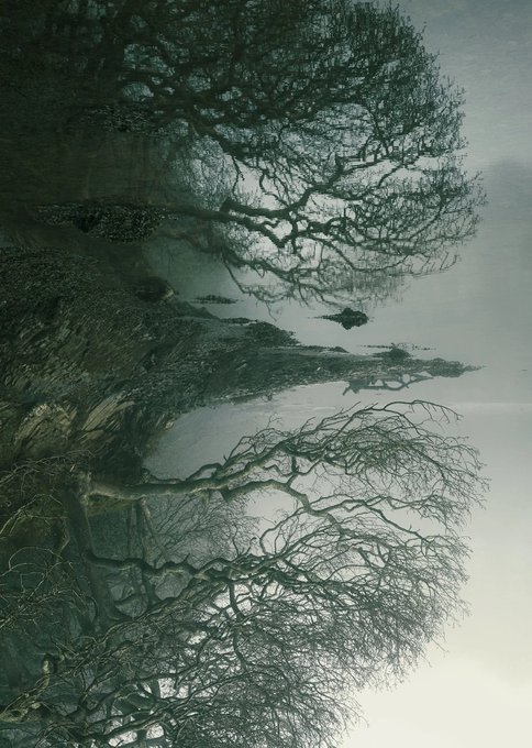 A vertical composition of bare, gnarled trees reflected in a misty wetland, rendered in moody teal and gray tones that evoke quiet, spectral stillness — fitting for a SuperRare artwork titled "WHISPERS." The mirrored, skeletal branches create an almost ghostly symmetry that visually echoes the hushed, secretive mood suggested by the piece's title.