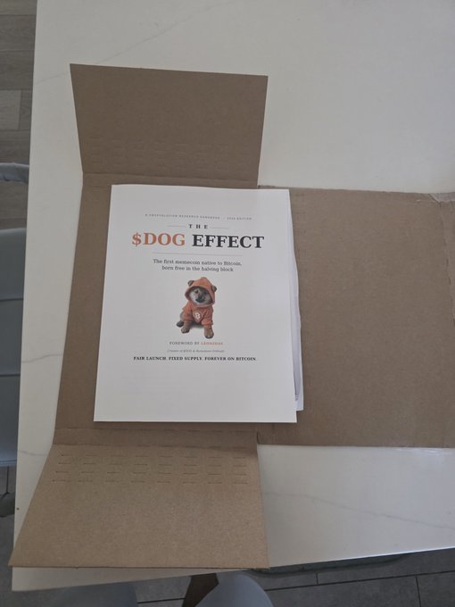 A stack of papers sits in an open cardboard box on a white table, with the top page displaying the title "THE $DOG EFFECT" and a subtitle reading "The first memecoin native to Bitcoin, born live in the halving block."