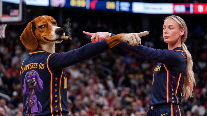 An edited image showing a dog with a cigar wearing a 'SNIPVERSE OG' jersey pointing at a female basketball player in a dark warmup jersey.
