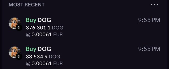 A cryptocurrency transaction history showing two 'Buy DOG' orders for DOG at 0.00061 EUR timestamped at 9:55 PM.
