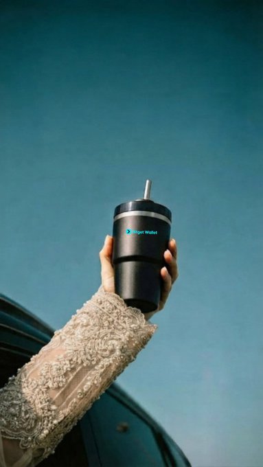 Low-angle shot of a hand in a lace sleeve holding up a black tumbler cup with a 'Crypto Wallet' logo against a blue sky.