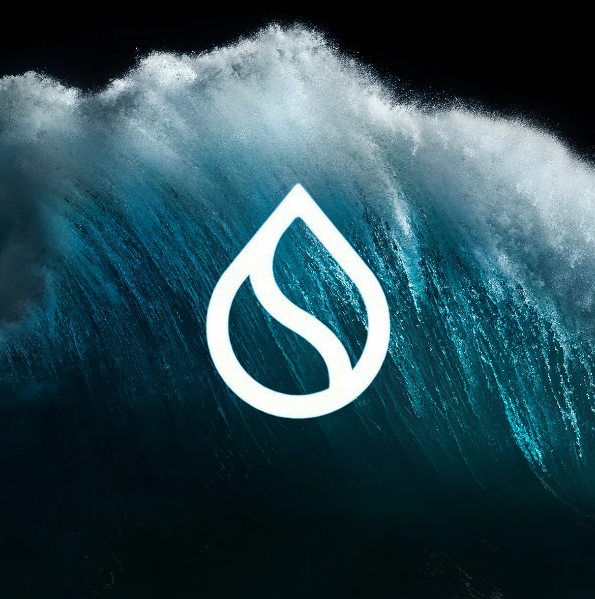 The image features a large wave with a white logo that looks like a drop of water. The wave has a dark blue color, which contrasts with the white logo. The background of the image is black, making the white logo stand out even more. The text "GM @SuiNetwork A new month and a new week means a fresh opportunity to reset, refocus and move forward together in the Sui Network ecosystem" is written below the image. This message emphasizes the importance of staying focused on personal growth and learning during this time when we are all facing new challenges due to the pandemic.