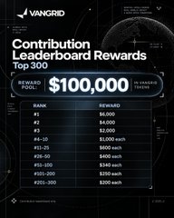 A VanGrid promotional graphic titled 'Contribution Leaderboard Rewards Top 300' displaying a $100,000 prize pool with ranked rewards ranging from $8,000 for #1 down to $200 for ranks #201-300.