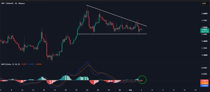 A 6-hour XRP/USD price chart on Binance displays a descending triangle pattern, with price consolidating between a flat support around $1.44–$1.45 and descending resistance, while the MACD indicator below shows a recent bullish crossover (highlighted by a green circle) signaling potential upside momentum. The current price sits at $1.4830, awaiting a breakout direction.