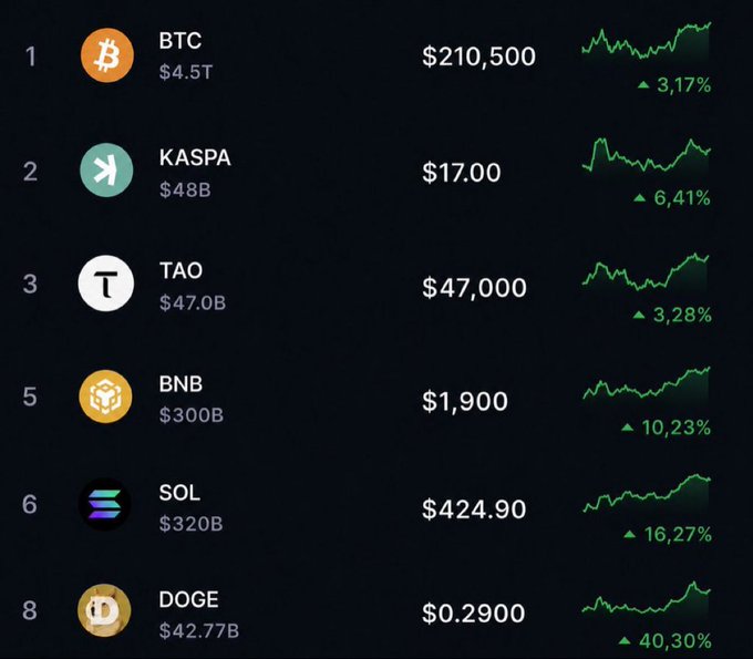 A cryptocurrency price tracker showing BTC at $210,500 (+3.17%), KASPA at $17.00 (+6.41%), TAO at $47,000 (+3.28%), BNB at $1,900 (+10.23%), SOL at $424.90 (+16.27%), and DOGE at $0.2900 (+40.30%) with green upward trend charts.