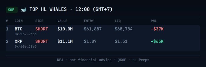 A data table displays "TOP HL WHALES" for Hyperliquid, showing two significant short positions: a $10.0M BTC short at $61,887 with a -$37K PNL, and an $11.1M XRP short at $1.07 with a +$65K PNL.
