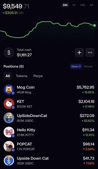 A crypto portfolio screenshot showing a total value of $9,549.71 (up $308.31 in 24h) with six open positions, including a notable 613.5K KET holding worth $2,104.18 (up 17.46%), alongside other memecoins like Mog Coin, Hello Kitty, and POPCAT—suggesting the user is looking for additional tokens to buy beyond their recent KET purchase.