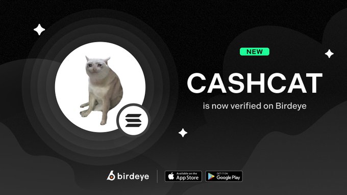 "CASHCAT is now verified on Birdeye, featuring a sad cat meme and the Solana logo. The image aligns with the post announcing the $CASHCAT token's launch on Solana.
