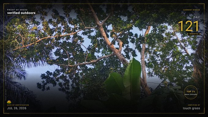 A stream overlay titled "verrified outdoors" with a current stream of DAY 121, certified by "touch grass" on JUL 26, 2026, showing a treetop view.