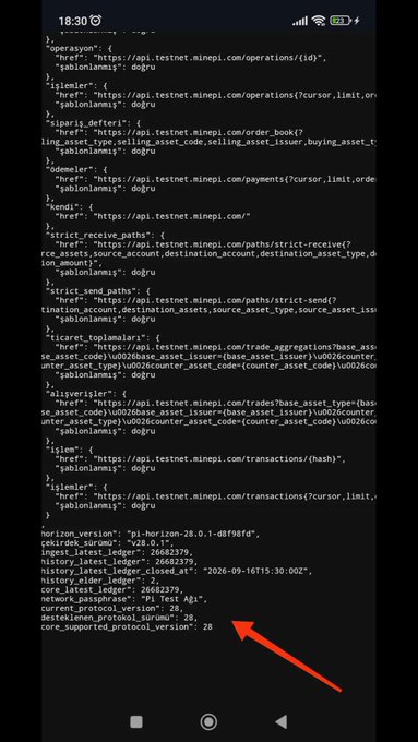 The image shows a screenshot of JSON configuration data from the Stellar testnet API at api.testnet.minepi.com, with a red arrow pointing to "core_supported_protocol_version": 28 at the bottom. This directly supports the post's claim about the Pi testnet having upgraded to protocol 28 alongside Stellar's mainnet upgrade, as evidenced by the network details showing "pi-horizon-28.0.1-d8f9bfea" in the configuration.