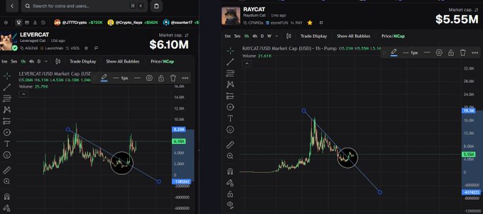 Two cryptocurrency price charts showing LEVERCAT with a market cap of $6.10M and RAYCAT with a market cap of $5.55M, both displaying downward trend lines.