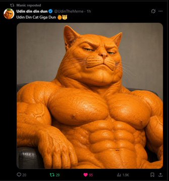 A highly muscular, orange anthropomorphic cat figure stares intensely from a rock-like seat, depicted in a tweet replying to @Manicdyor criticizing his use of the $Udin account to promote rug pulls. The tweet text reads "Udin Din Cat Goga Dun" with engagement metrics showing 29 replies, 39 reposts, 5 likes, and 1.9K views.