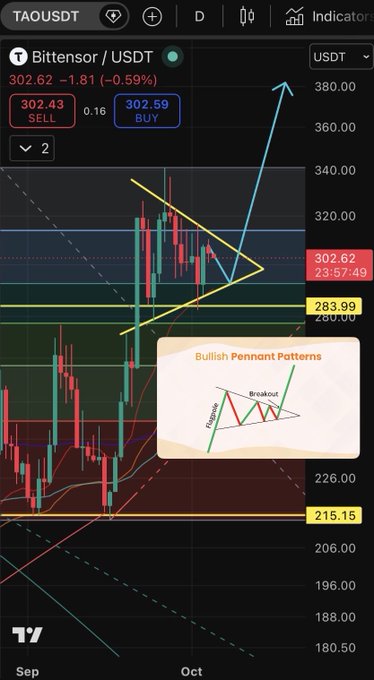 A candlestick chart for Bittensor/USDT (TAOUSDT) trading pair showing price at 302.62, annotated with a 'Bullish Pennant Patterns' technical analysis overlay and an expected breakout arrow.
