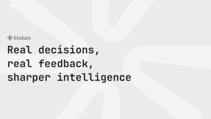 A minimalist gray design shows the text 'Real decisions, real feedback, sharper intelligence' with 'Endure' and a star icon at the top.