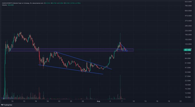 A TradingView candlestick chart of Cardano ($ADA/USDT) on Binance showing price action around the $83–85M volume level, with a horizontal purple resistance zone near $95M and a descending blue trendline marking a falling wedge pattern that the price has recently broken upward from. The chart visualizes the $CASHCAT ticker mentioned in the post, highlighting a bullish breakout setup.