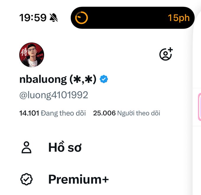 A TikTok profile screenshot for user 'nbaluong (*,*)' (@luong4101992) with a verified badge, showing 14,101 followers and 25,006 following in Vietnamese, with battery at 15% and time 19:59.