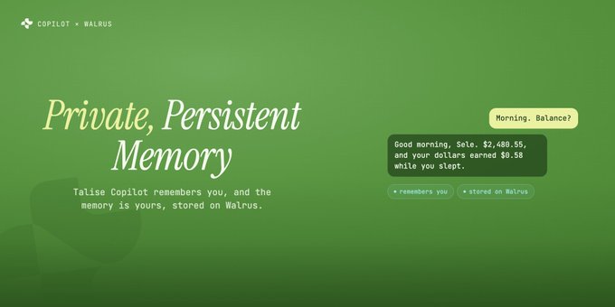 A green promotional banner for 'Copilot x Walrus' featuring the text 'Private, Persistent Memory' and 'Talise Copilot remembers you, and the memory is yours, stored on Walrus,' alongside a chat example showing a morning balance update.