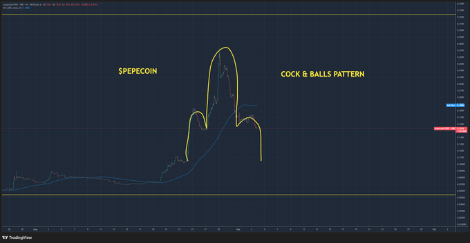 A TradingView chart of '$PEPECOIN' displaying a candlestick pattern humorously labeled as the 'COCK & BALLS PATTERN' by the user.