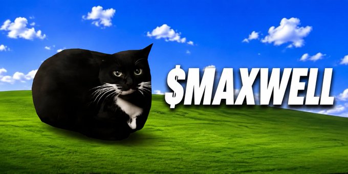 A black cat with a white chest sits on a green hill against a blue sky background, with large white text reading '$MAXWELL' next to it.