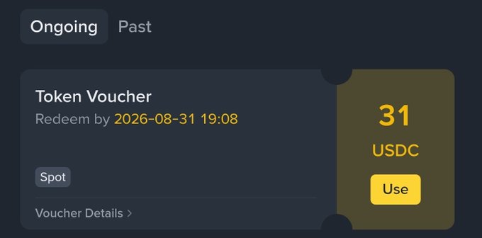 A Token Voucher screen showing 31 USDC redeemable by 2026-08-31 19:08 with tabs for Ongoing and Past vouchers.