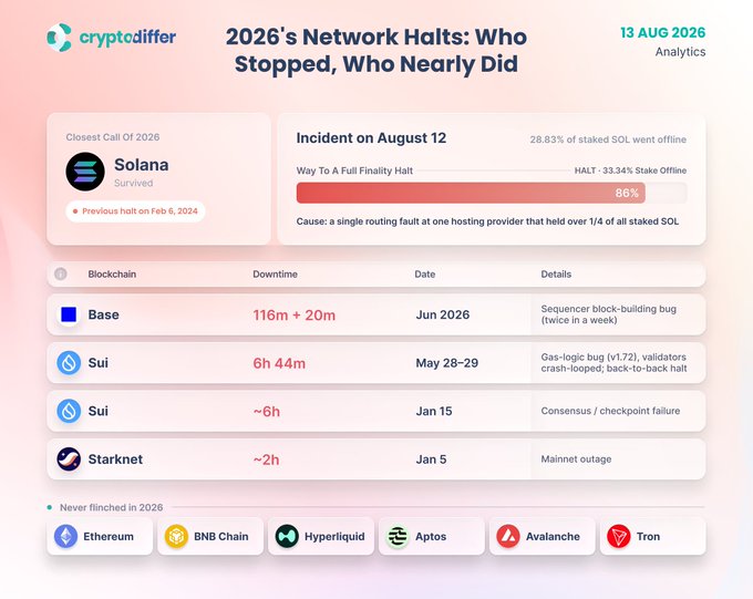 An infographic titled '2026's Network Halts: Who Stopped, Who Nearly Did' from cryptodiffer dated 13 AUG 2026, detailing blockchain outages including Solana (33.4% stake offline on Aug 12), Base (116m+20m downtime in June 2026), Sui, Starknet, and others.