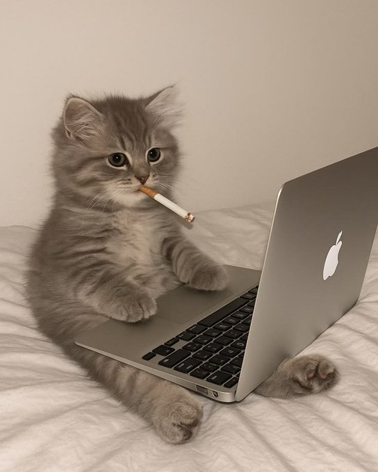 A fluffy gray kitten sitting upright on a white bed, holding a lit cigarette in its mouth while appearing to use a silver Apple MacBook laptop.