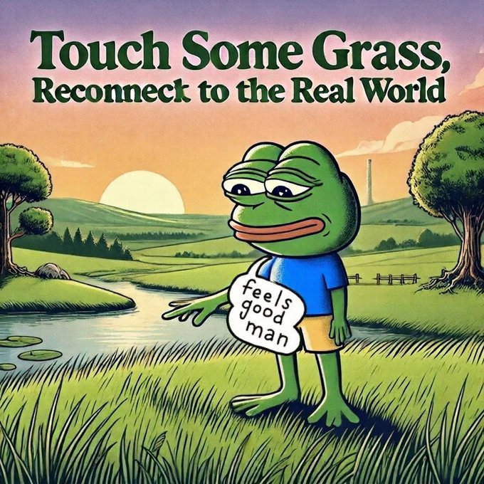 A Pepe the Frog meme stands in a serene countryside landscape at sunset, wearing a blue shirt that reads "feels good man" while gesturing toward the grass. The image ties into the post's message by illustrating the "touch grass" internet slang, urging followers to step outside and reconnect with reality. The bold header text reads "Touch Some Grass, Reconnect to the Real World."