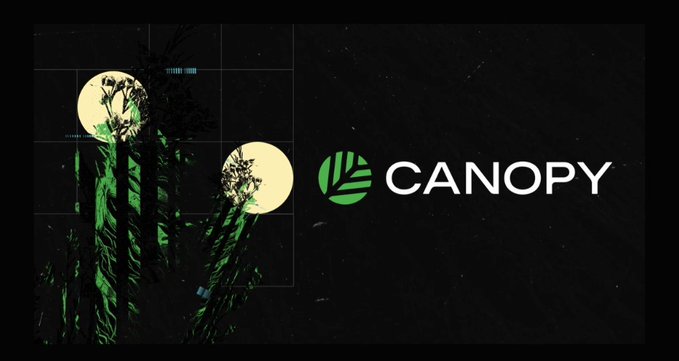 A stylized graphic for 'CANOPY' with a green leaf logo, set against a dark background showing palm trees silhouetted against two bright full moons.