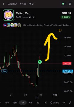 A trading chart shows the Calico Cat (CALICO) token on a +28.2% pump with a market cap of $10.2K, marked with a yellow upward arrow.